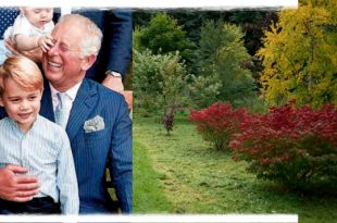 Prince Charles Named An Autumn Garden After His Eldest Grandchild, Prince George