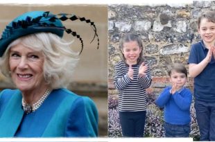 The Christmas Gift Camilla Might Have Bought The Cambridge Kids