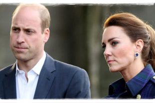 Prince William Had Important Meeting while Kate Middleton Was In Denmark