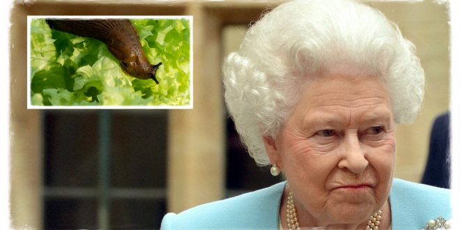 The Queen Once Discovered A Slug In Her Salad, Her Reaction Was Priceless