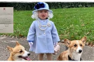 Cute Girl Dressed Up As The Queen. Soon After That, She Got A Letter From Her Majesty