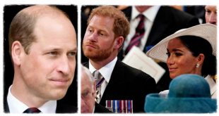 The Sussexes 'Surprised' By William's 'Frosty' Reaction