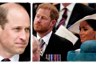 The Sussexes 'Surprised' By William's 'Frosty' Reaction