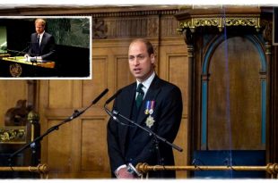 Prince Harry Accused Of Copying Prince William Speech At UN