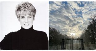 The Fans Were Touched By This Moving Photos Of Princess Diana's Resting Place