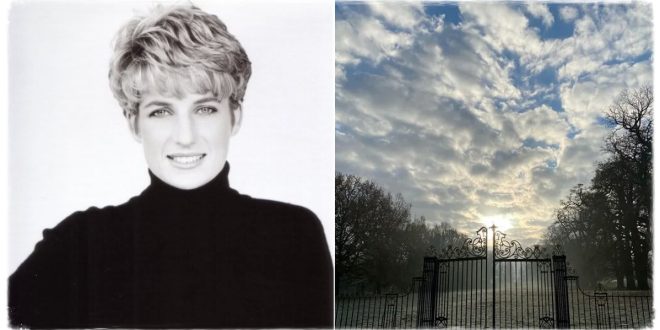 The Fans Were Touched By This Moving Photos Of Princess Diana's Resting Place
