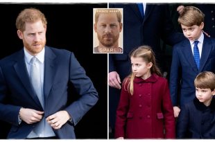 Prince Harry Explained That He Wrote 'Spare' To Protect George, Charlotte and Louis
