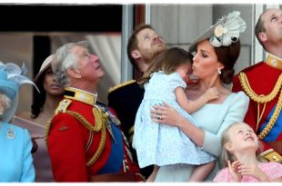 Princess Kate's Hilarious Reaction to Princess Charlotte's Tumble