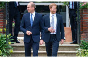 William And Harry Reunited For A Very Special Reason