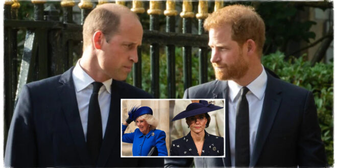 Prince Harry ‘Dissing Camilla And Kate Is A Big Problem’ For Prince William