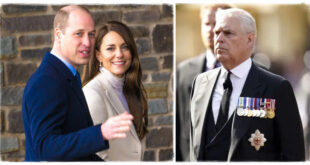 William and Kate Could Lose 'Most Popular Royal Couple' Status With Prince Andrew's 'Toxic Association'