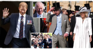 The Real Reason Prince Harry Will Not Meet King Charles Has Been Revealed - Not A Diary Clash