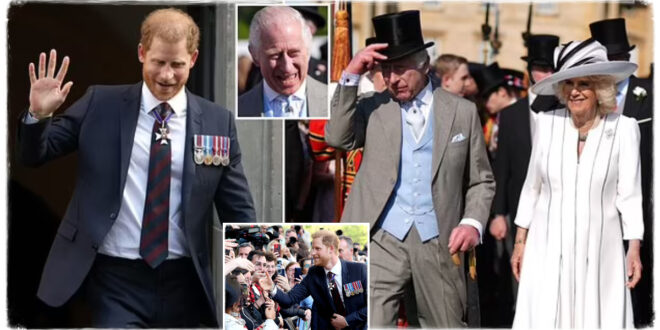 The Real Reason Prince Harry Will Not Meet King Charles Has Been Revealed - Not A Diary Clash