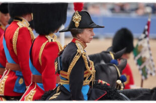 Princess Anne Have Horse Trouble Ahead Of The Official 2024 Trooping The Colour Parade