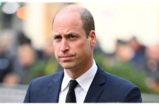 Prince William's Role Is Evolving - What Are His True Intentions For It?