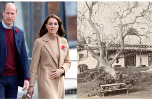 William and Kate's Adelaide Cottage Home Looks Remarkably Different in Rare Photo