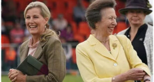 Princess Anne Acts Swiftly to Block Duchess Sophie from 'Stealing' Her Title