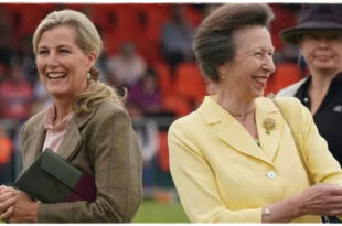 Princess Anne Acts Swiftly to Block Duchess Sophie from 'Stealing' Her Title