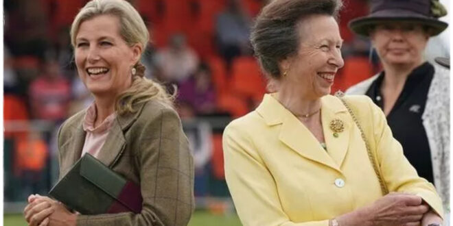 Princess Anne Acts Swiftly to Block Duchess Sophie from 'Stealing' Her Title