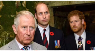 King Charles Makes Heartbreaking Nine-Word Plea to Prince William and Harry Amid Feud