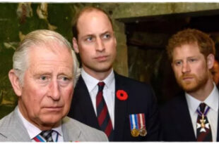 King Charles Makes Heartbreaking Nine-Word Plea to Prince William and Harry Amid Feud