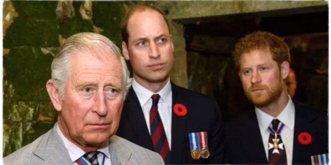 King Charles Makes Heartbreaking Nine-Word Plea to Prince William and Harry Amid Feud