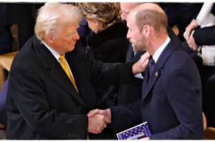 Prince William Shares Warm Handshake with Donald Trump at Notre Dame Reopening Ceremony