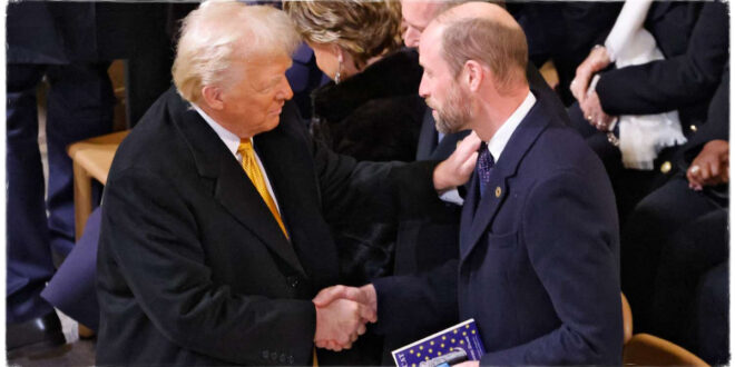 Prince William Shares Warm Handshake with Donald Trump at Notre Dame Reopening Ceremony