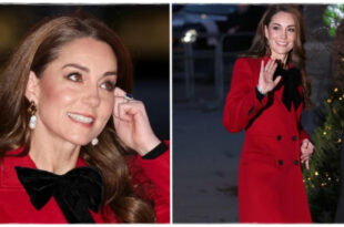 Princess Kate's Stunning Christmas Party Dress That Went Unseen