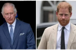 King Charles Reportedly 'Embarrassed' by Prince Harry's Push to Overturn Key Decision