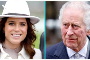 Princess Eugenie’s Sons Enjoy Exclusive VIP Tour of King Charles’ Royal Helicopter in London