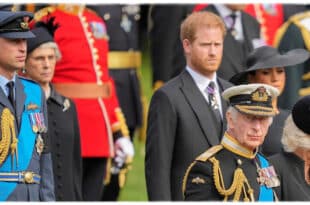 Prince Harry and King Charles expected to meet during UK visit while Prince William rejects reunion
