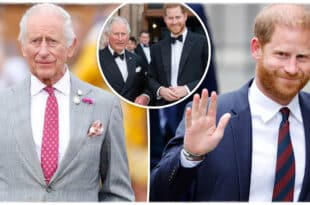 King Charles and Prince Harry pictured at separate royal events amid reports of a possible reconciliation