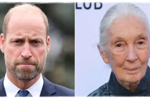 Prince William delivering an emotional statement honoring Jane Goodall for her extraordinary work