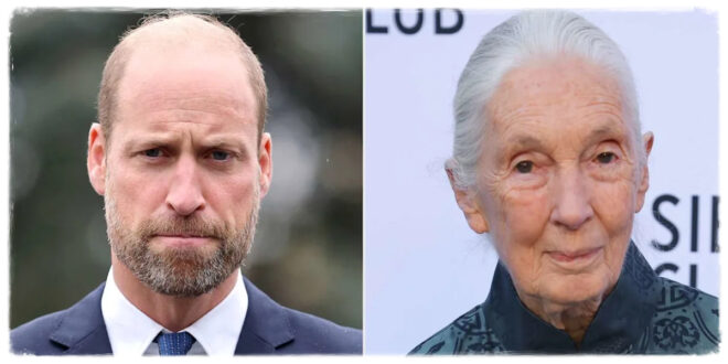 Prince William delivering an emotional statement honoring Jane Goodall for her extraordinary work