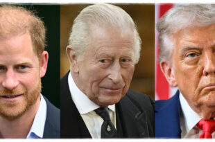 Prince Harry facing backlash as King Charles is urged to remove his titles following Trump-related mockery