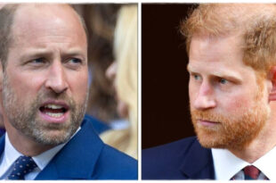 Prince Harry amid backlash after accusations he stole Prince William’s royal title