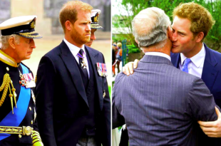 Prince Harry and King Charles amid fresh speculation surrounding a possible summer reunion